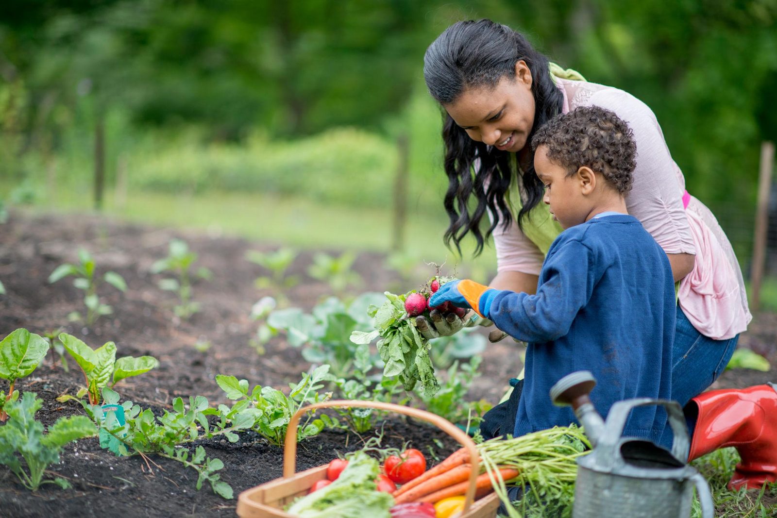 Fresh produce, grown and shared locally.